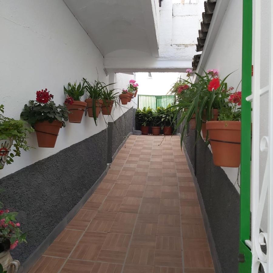 Vivienda Rural Rio Cerezuelo Guest House Cazorla Exterior foto